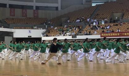东岳太极拳表演